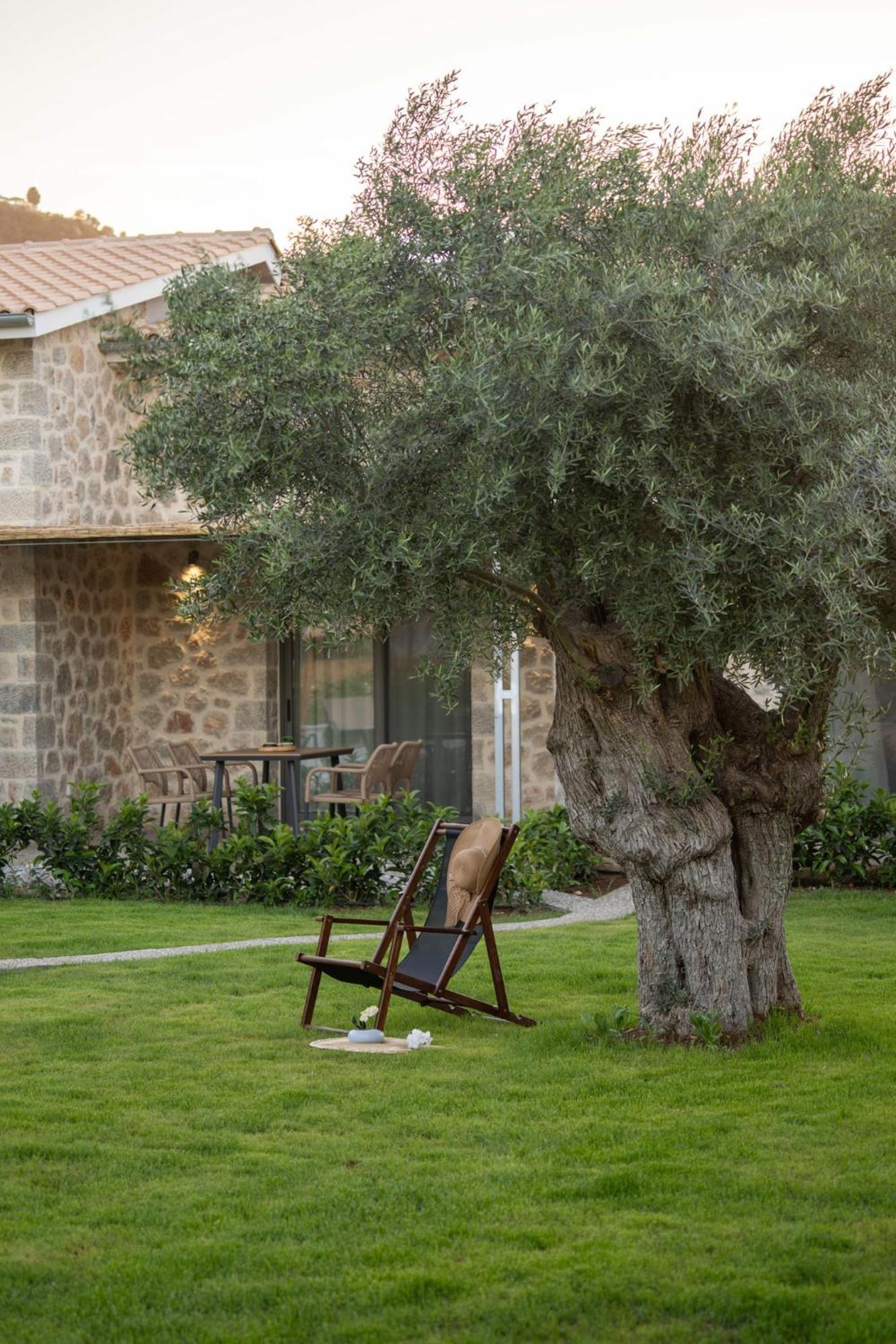 דירות Lefkáda Yannis Retreat מראה חיצוני תמונה