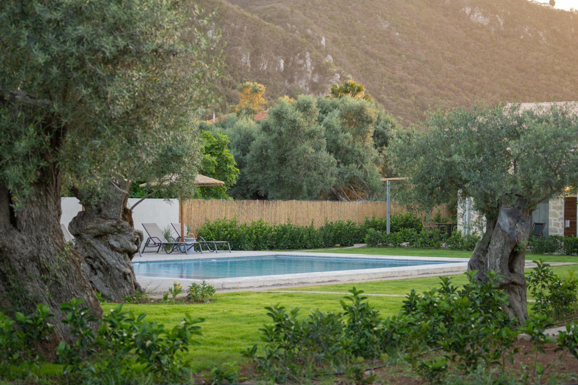 דירות Lefkáda Yannis Retreat מראה חיצוני תמונה
